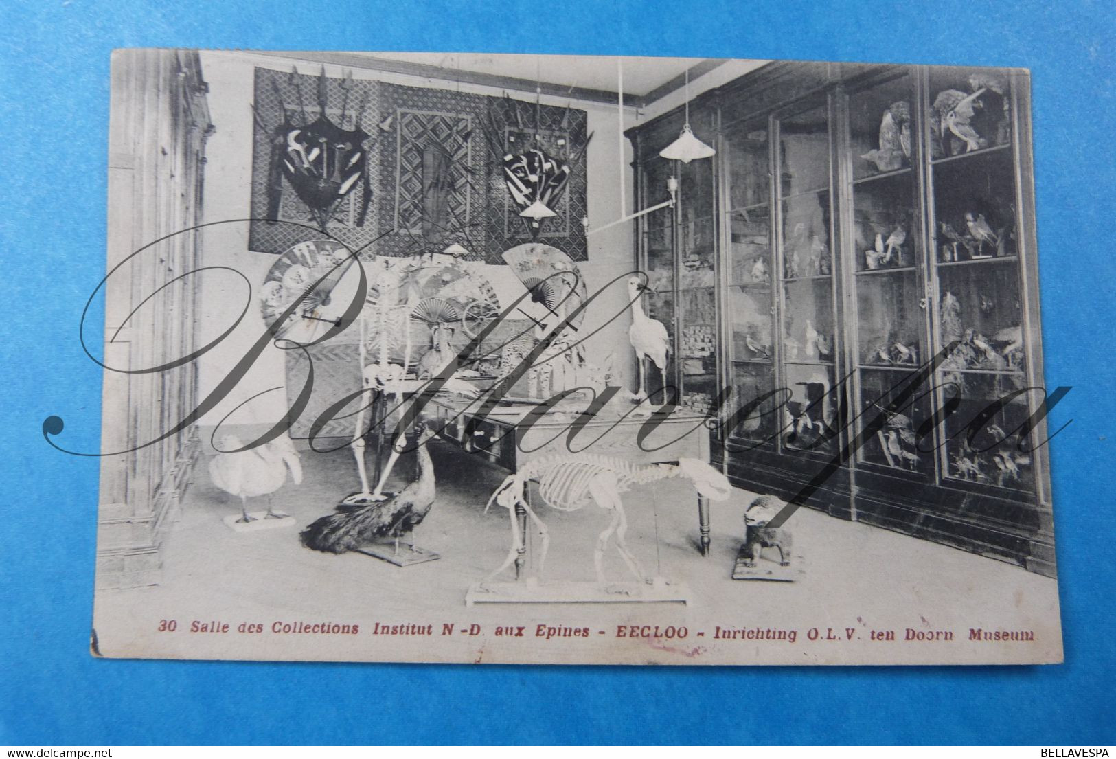 Eeklo Inrichting Ten Doorn Museum Taxidermisme-1913 - Eeklo