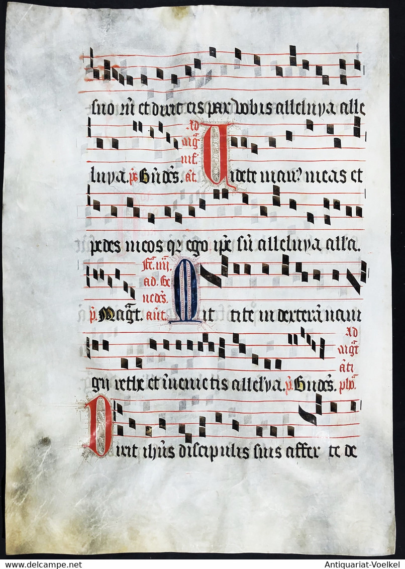 Seltenes, Sehr Großes Original Pergament-Blatt Aus Einer Antiphonar-Handschrift Des 15. Jahrhunderts / Very Ra - Theater & Drehbücher