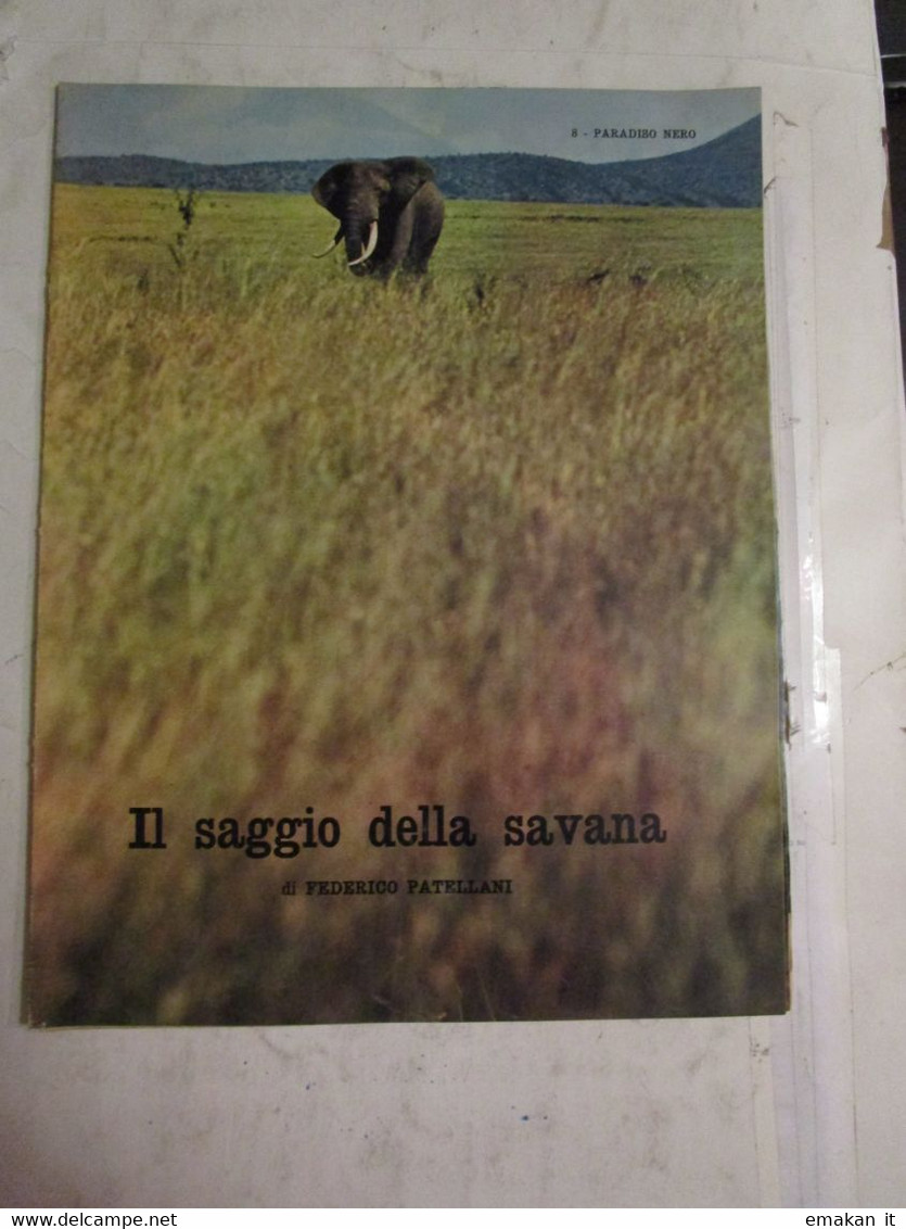 # INSERTO EPOCA  (8) / AFRICA PARADISO NERO / IL SAGGIO DELLA SAVANA - First Editions