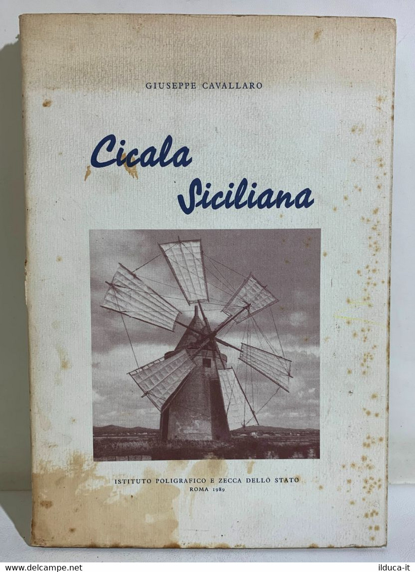 I107273 Giuseppe Cavallaro - Cicala Siciliana - 1989 - Altri & Non Classificati