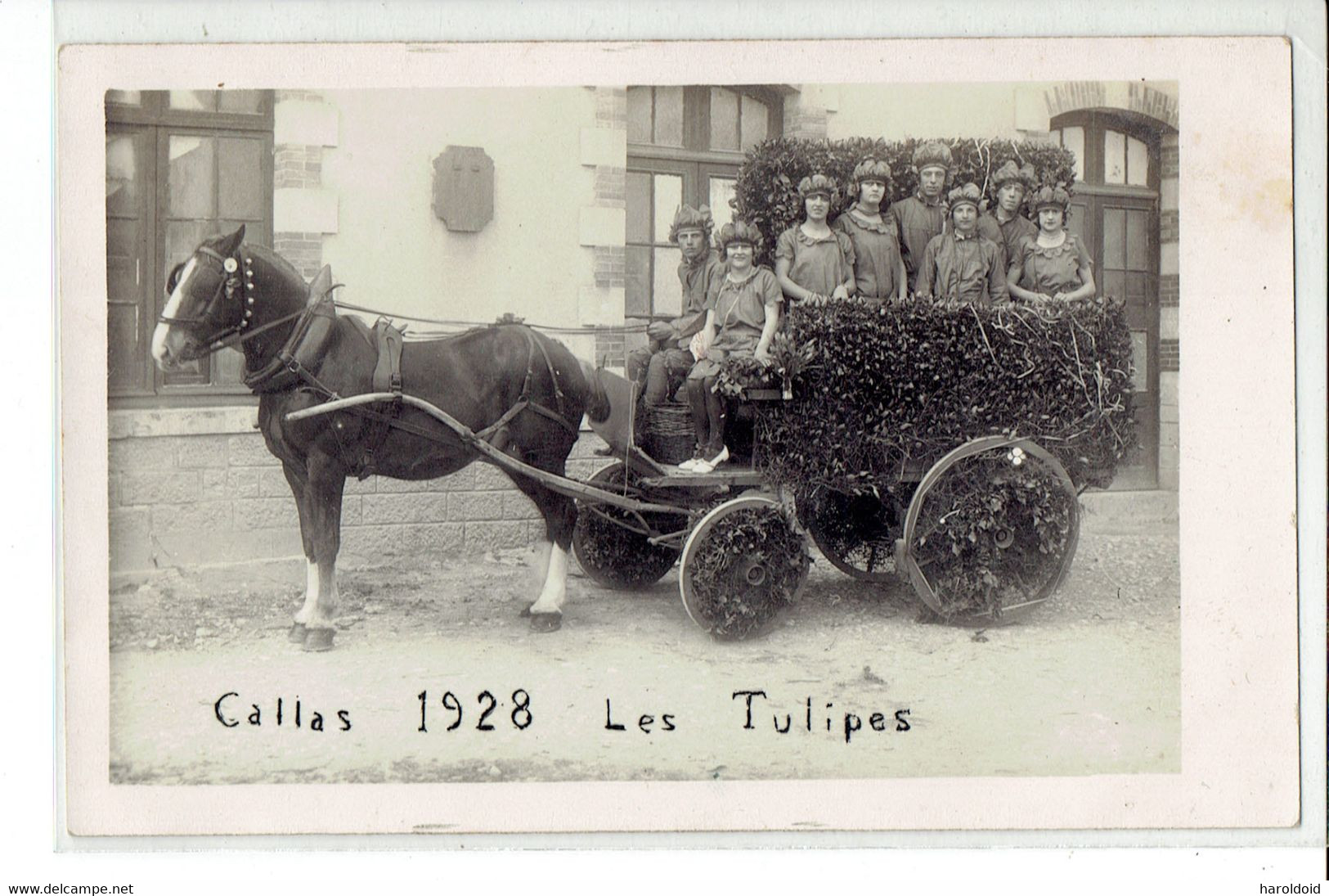 CP PHOTO 83 - CAVALCADE DE CALLAS - CHAR DES TULIPES - 1928 - Callas