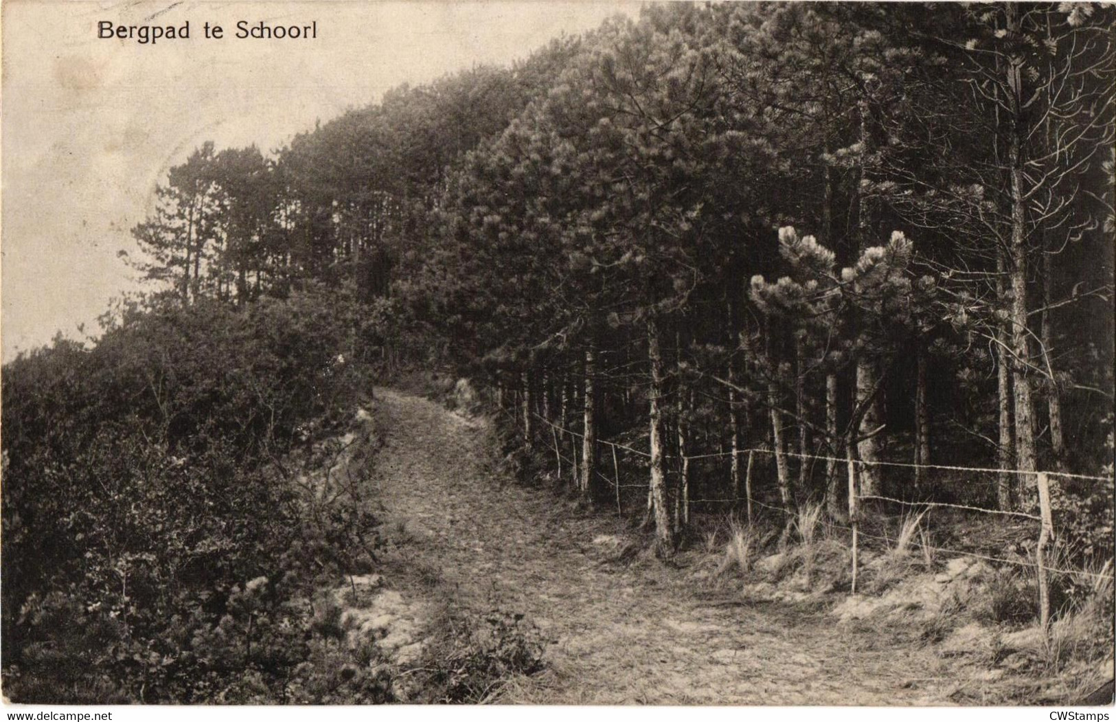 Schoorl Bergpad Nette Kaart - Schoorl