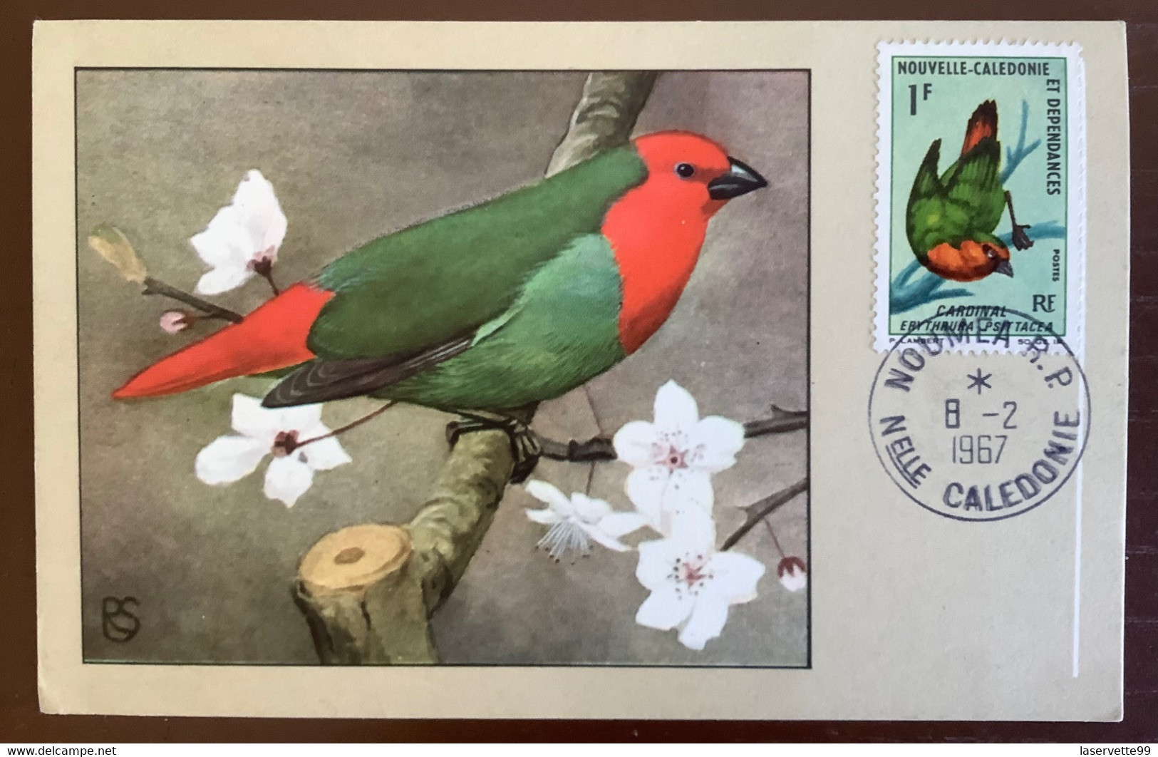 Carte Maximum 1967 Oiseau Vogel Bird Nouvelle Caledonie Maxicard FDC - Covers & Documents