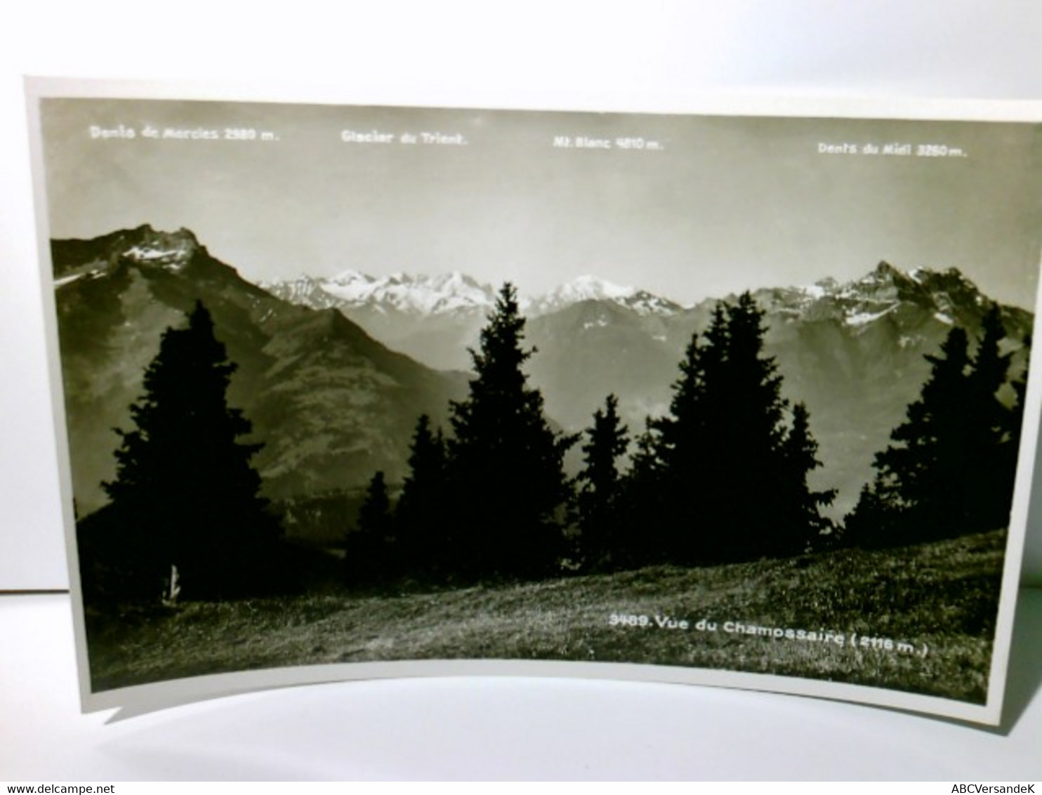 Vue Du Chamossaire. Alte Ansichtskarte / Postkarte S/w. Ungel. Alter O. A.. Schweiz, Blick Ins Tal, Namentlich - Cham