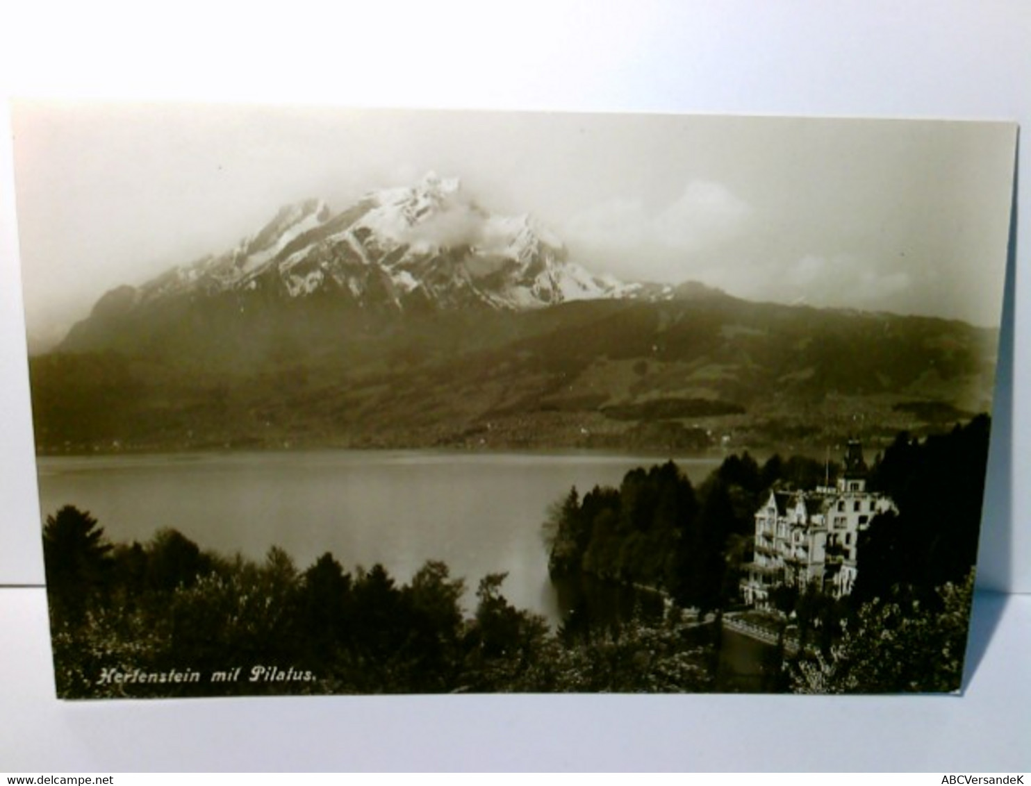 Hertenstein Mit Pilatus. Schweiz. Alte Ansichtskarte / Postkarte S/w, Ungel. Um 1910 / 15 ?.  Panoramablick üb - Stein