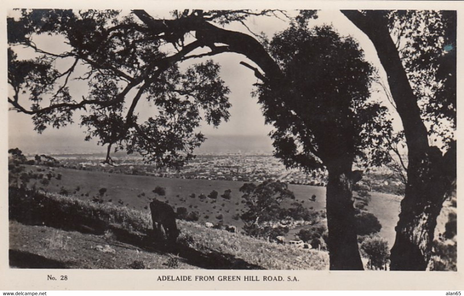 Adelaide Australia, View Of City From Green Hill Road C1920s/30s Vintage Real Photo Postcard - Adelaide