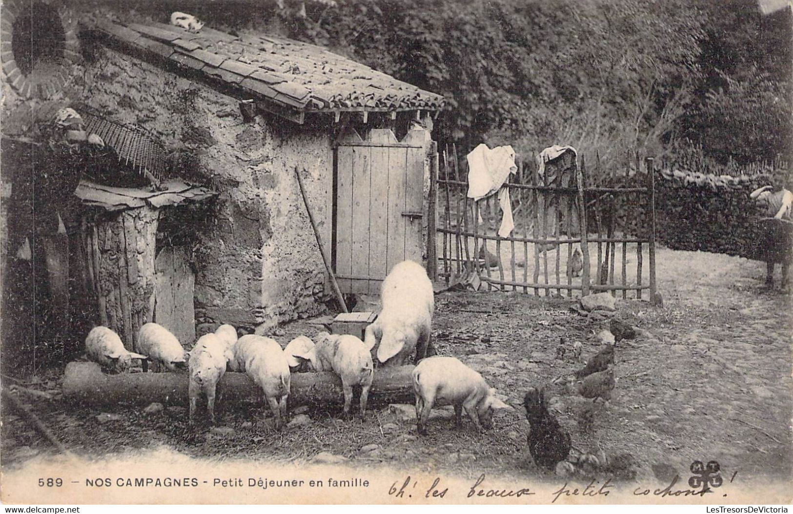 CPA - Elevage - Nos Campagnes - Petit Déjeuner En Famille - Porc - Cochon - Allevamenti