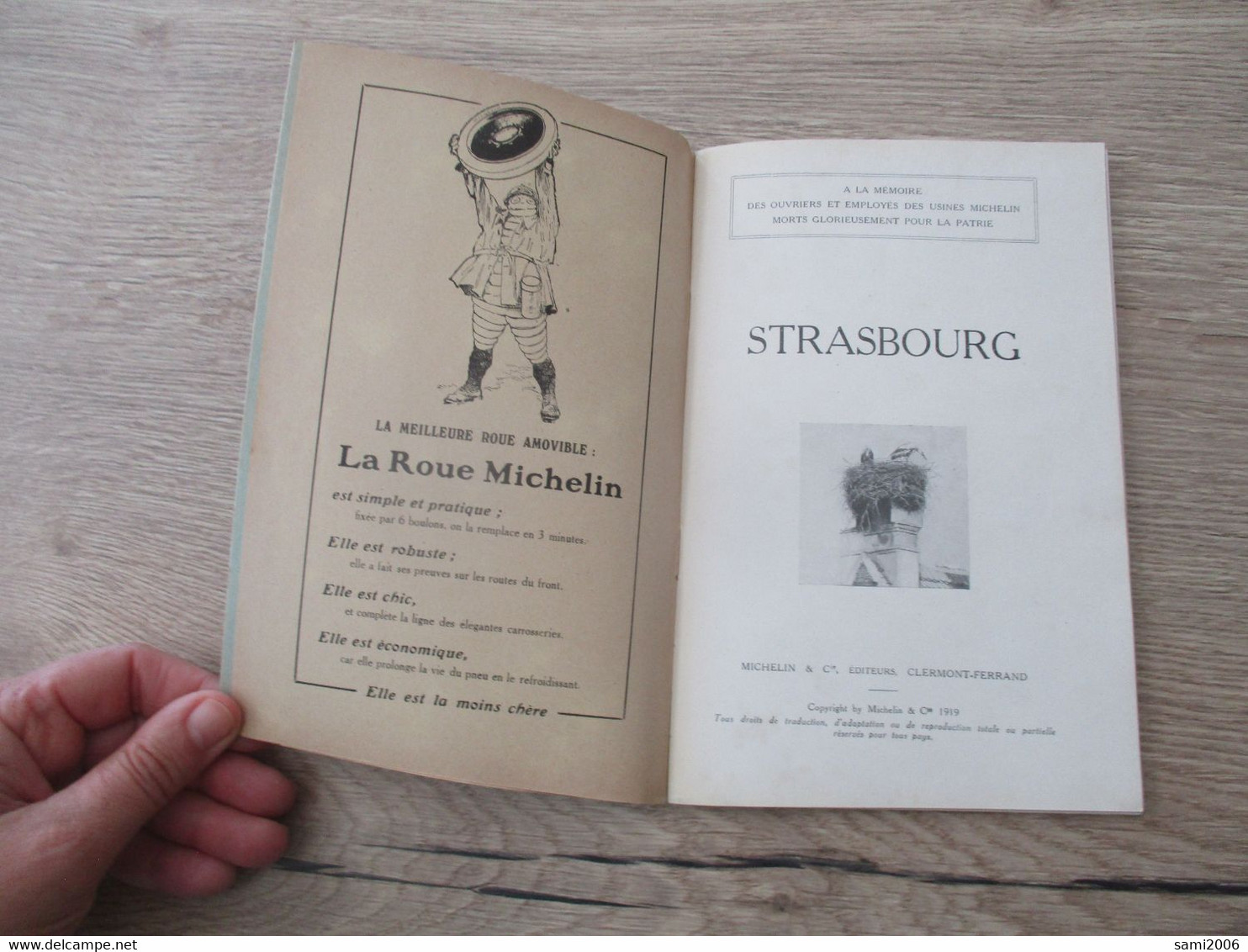 GUIDE ILLUSTRE MICHELIN CHAMPS DE BATAILLE ( 1914-18 ) 67 STRASBOURG - Michelin-Führer