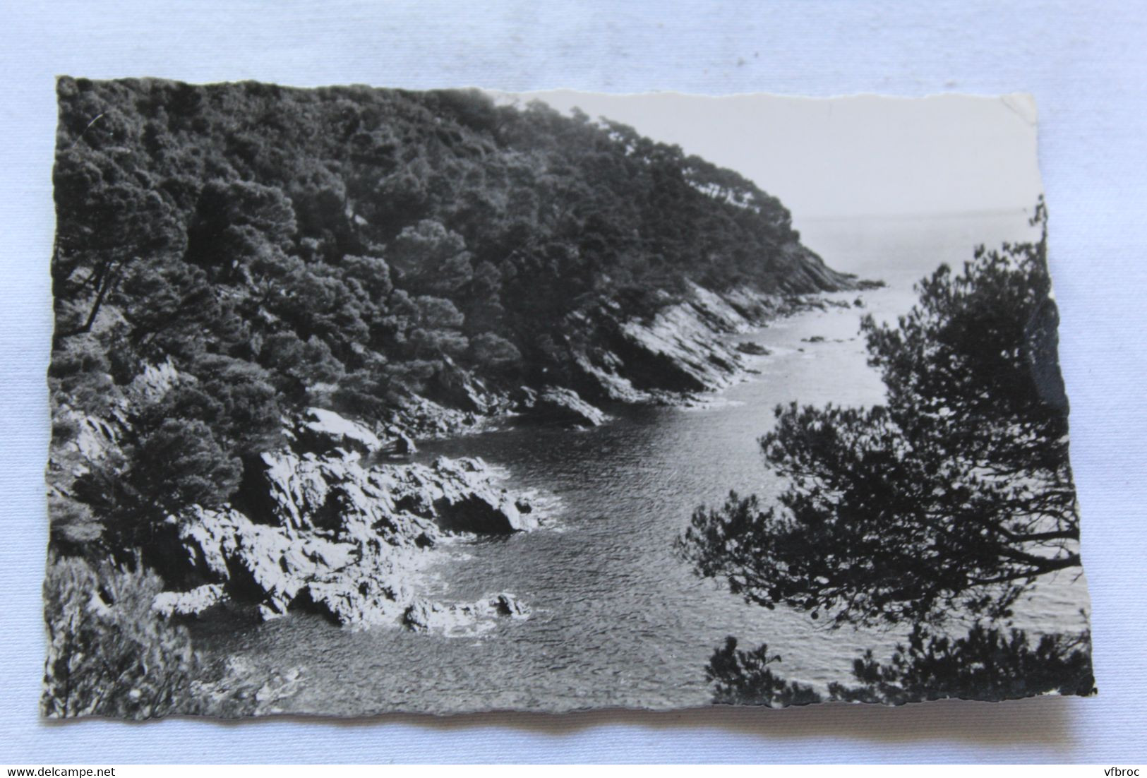 J172, Cpsm 1959, Cavalaire Sur Mer, La Corniche Des Maures, Var 83 - Cavalaire-sur-Mer