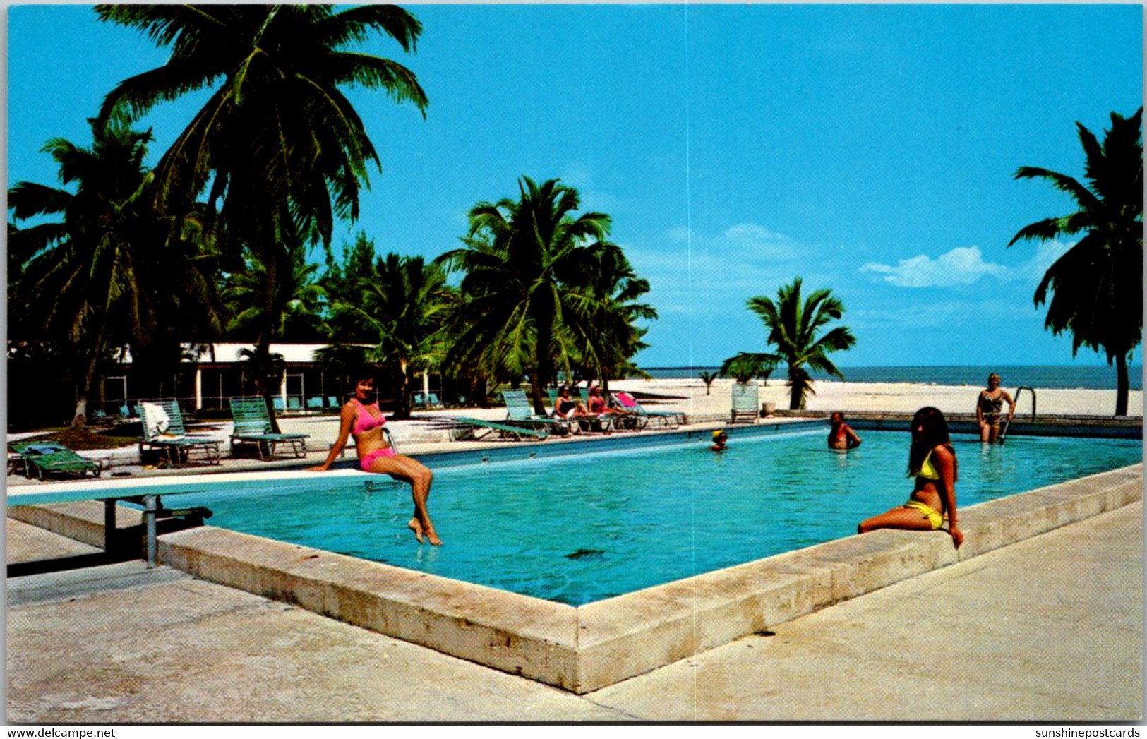 Florida Keys Islamorada The Islander Resort Swimming Pool - Key West & The Keys