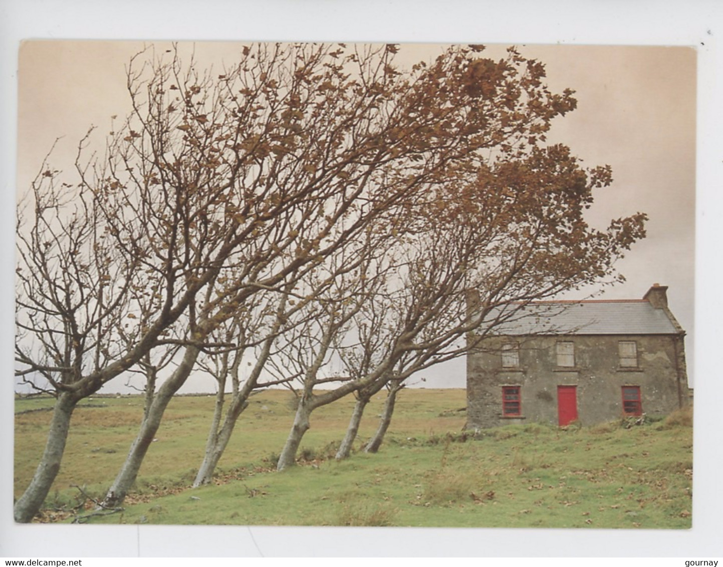 Irlande Ireland - Real Ireland Irish Cottages - Glencolombkille Co Donegal (cp Vierge) - Donegal