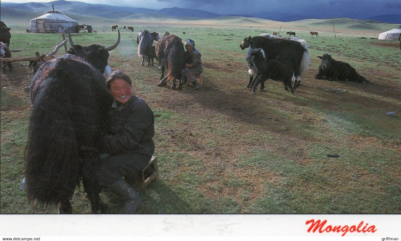 MONGOLIE MONGOLIA TRAITE DES YACK CPM NEUVE - Mongolië