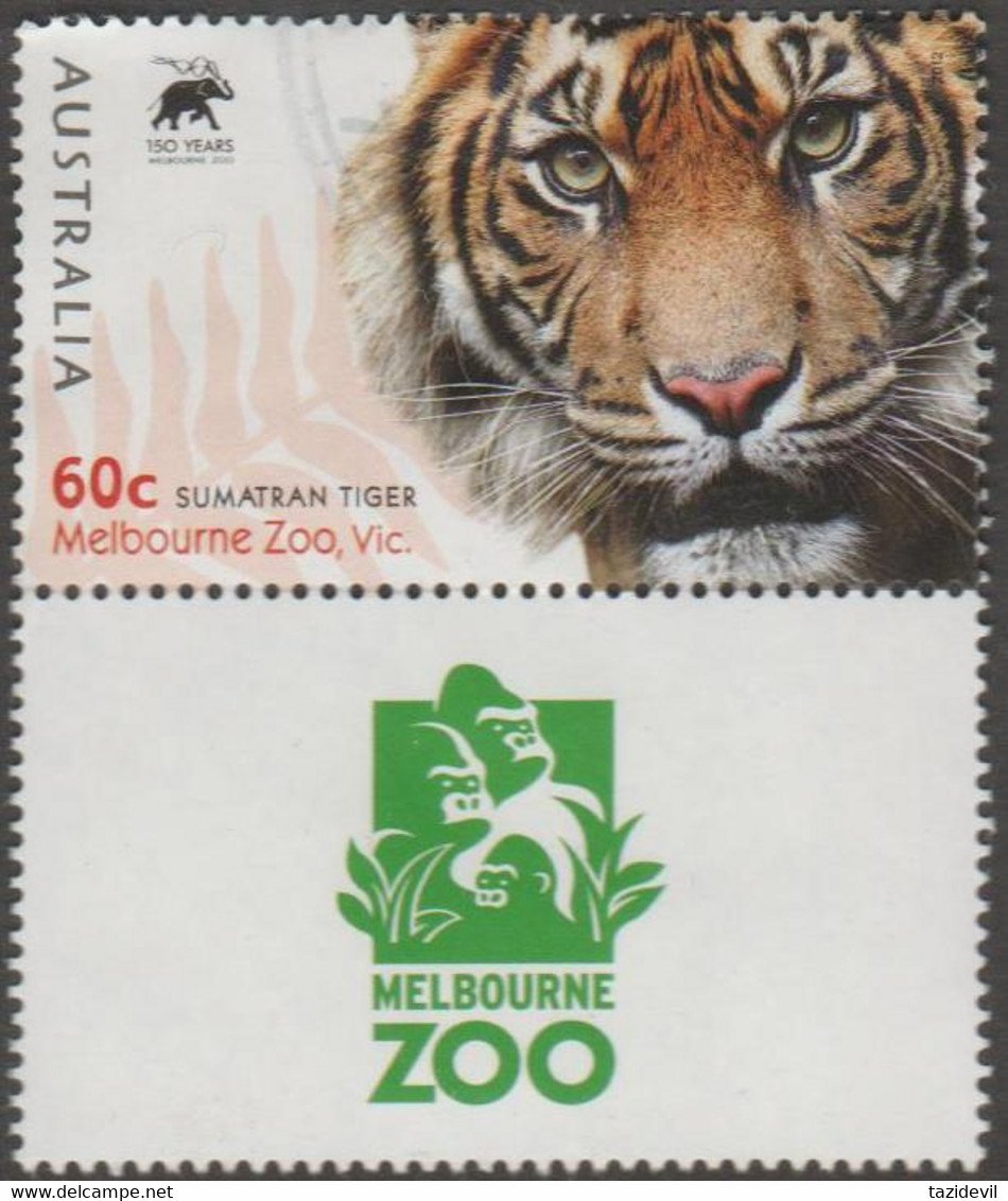 AUSTRALIA - USED 2012 60c Zoos - Sumartran Tiger With LMelbourne Zoo Tab - Used Stamps