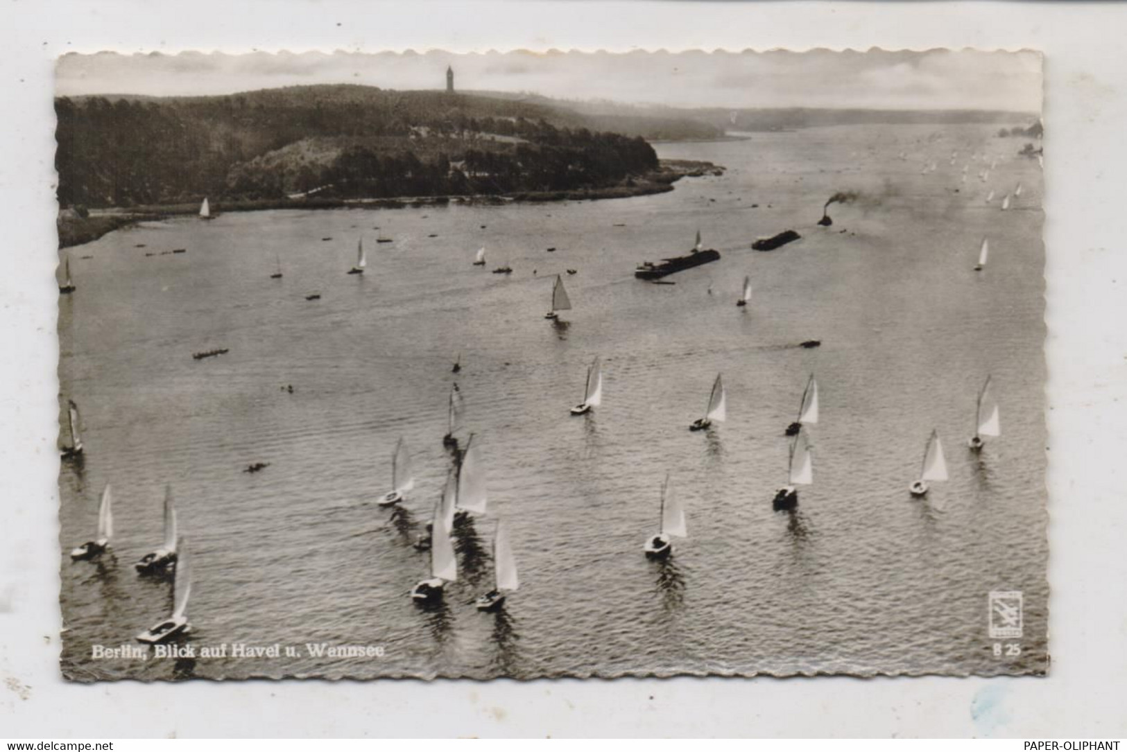 1000 BERLIN - WANNSEE Und Havel, Luftaufnahme, Segelboote, Frachtschiffe, 1959 - Wannsee