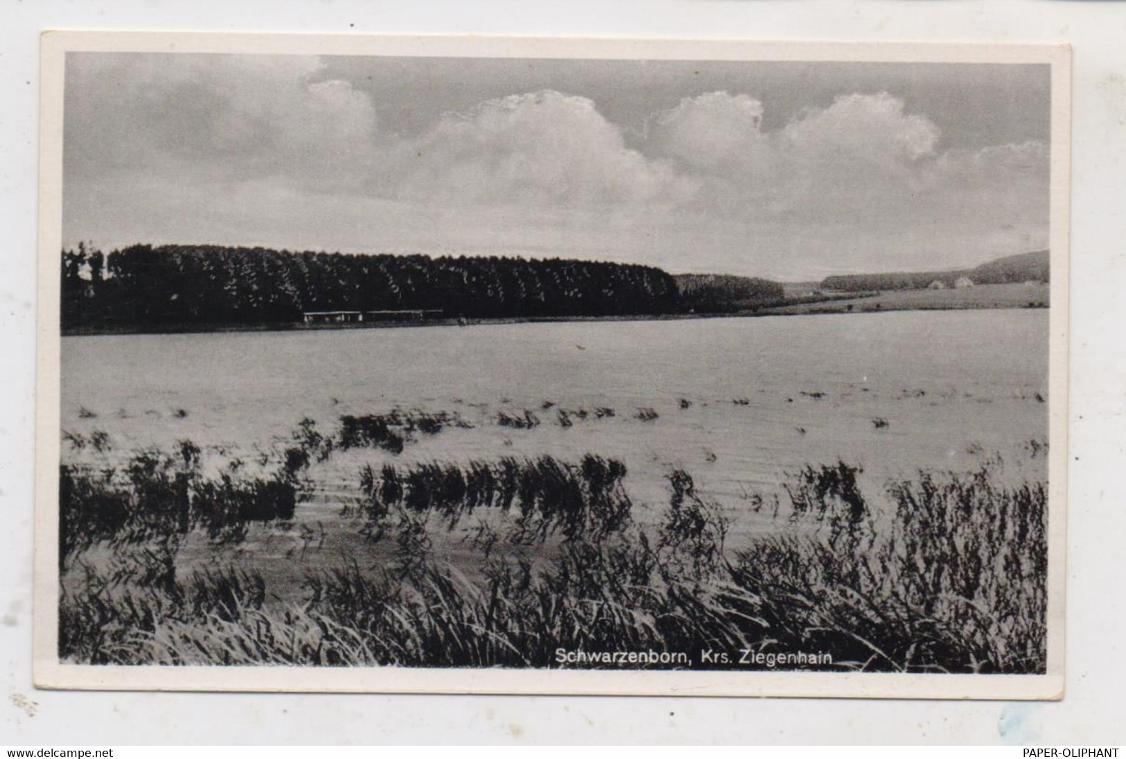 3579 SCHWARZENBORN, Blick über Den Knüllteich - Homberg