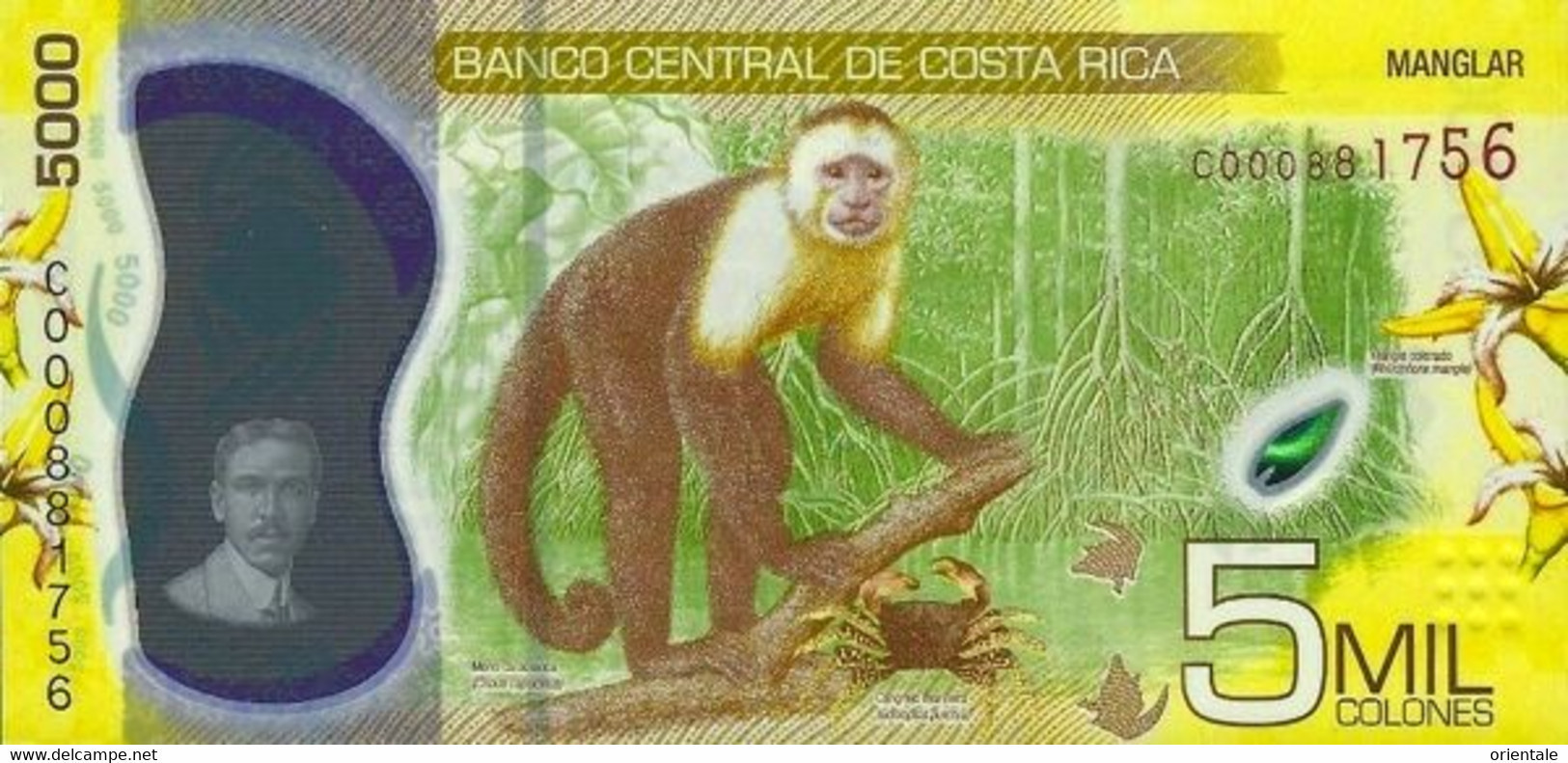 COSTA RICA P. NEW  5000 C 2018 UNC - Costa Rica