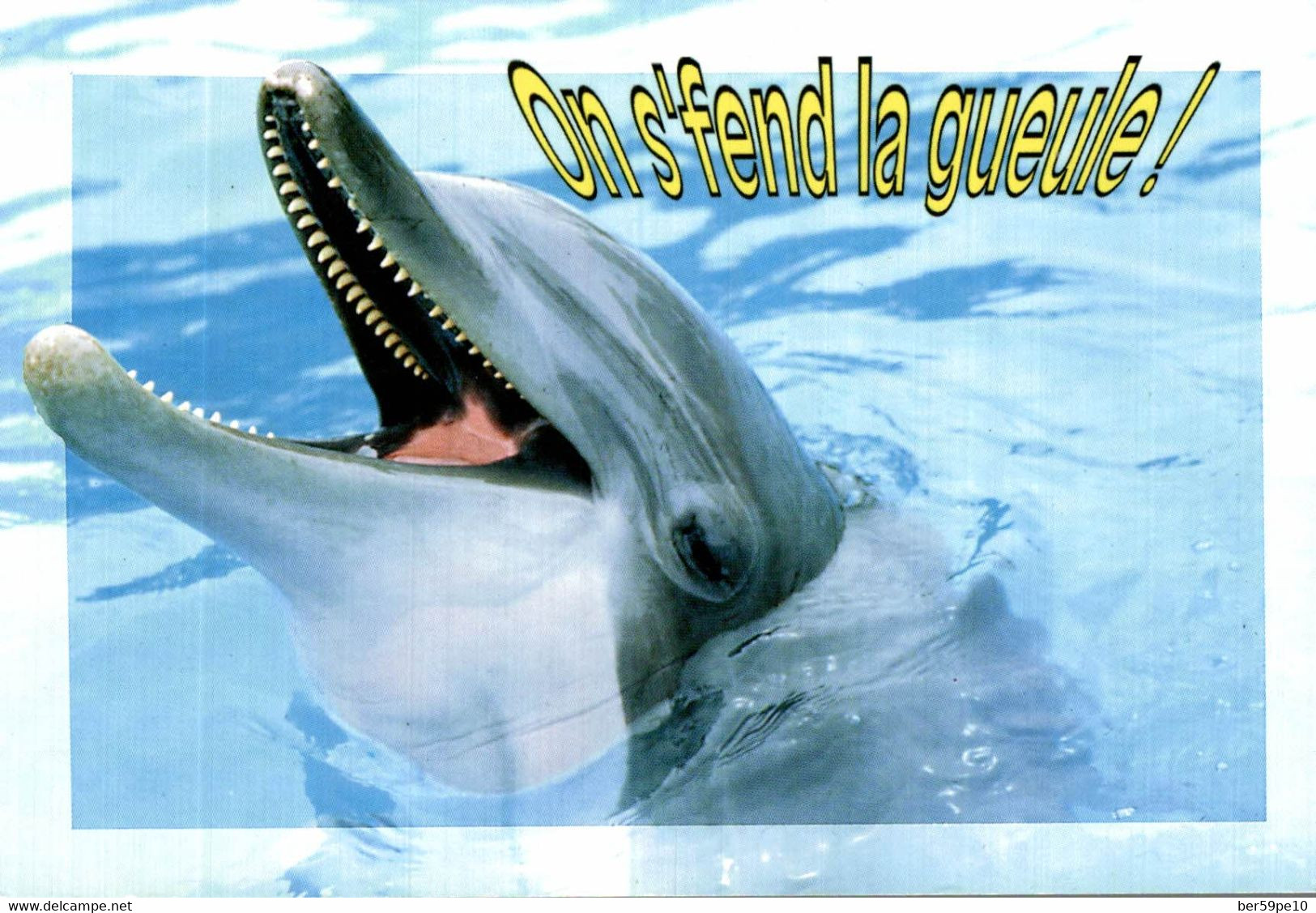 HUMOUR DAUPHIN / ON S'FEND LA GUEULE ! - Dauphins