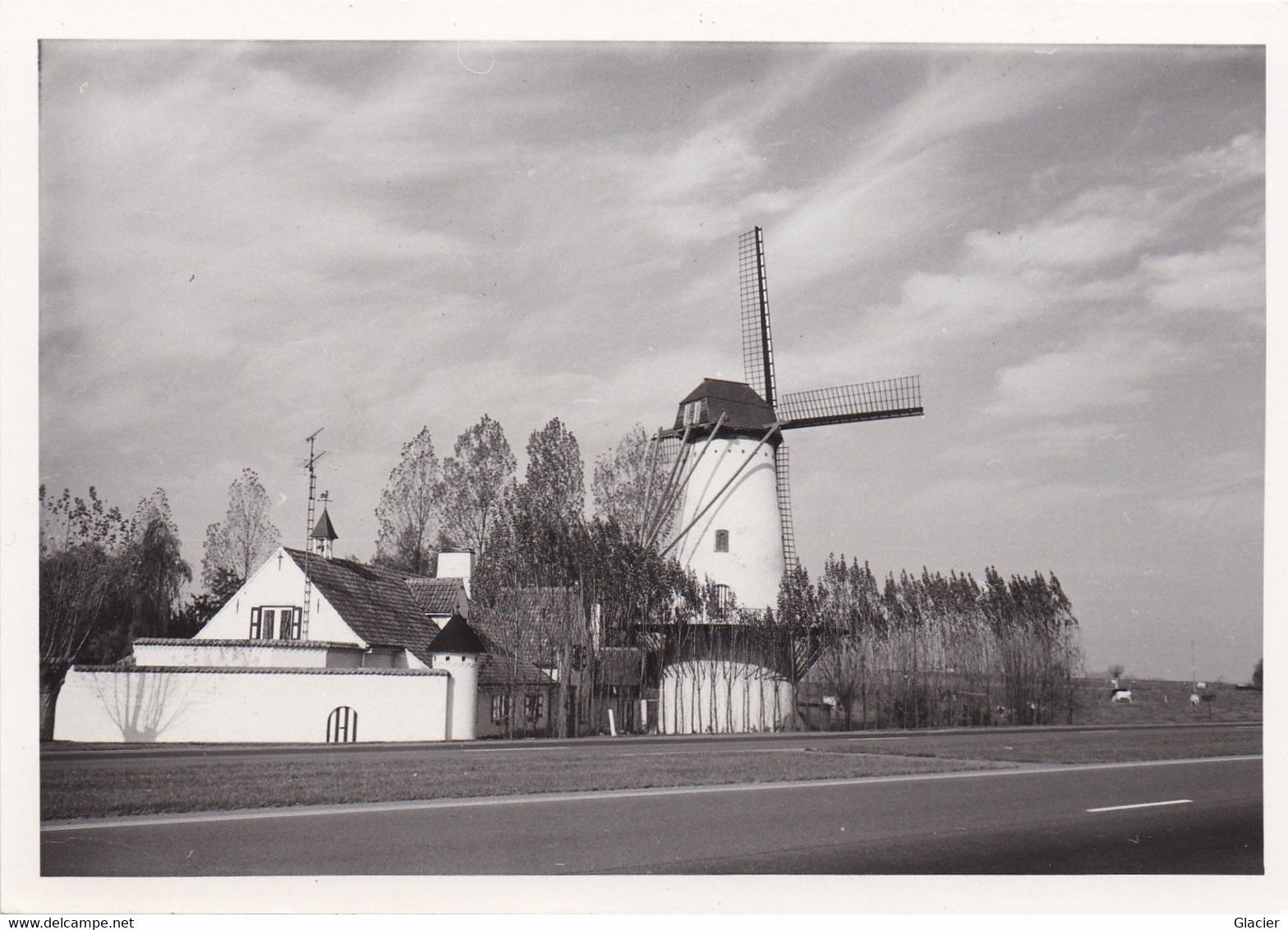 Mullem - Oudenaarde - Molen - Foto 12,5 X 9 Cm - - Oudenaarde