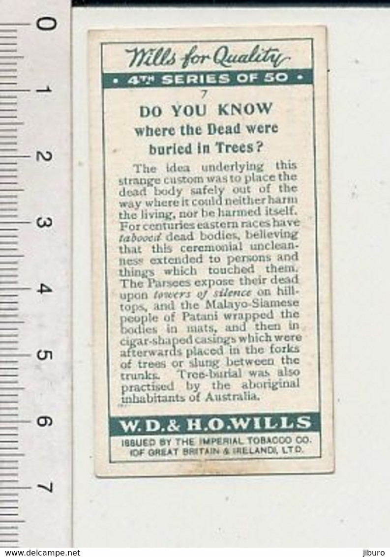 Where The Dead Were Buried In Trees / People Of Patani : Malaisie Océanie Malayo-Siamese People Tree-burial Arbre 166/7 - Wills