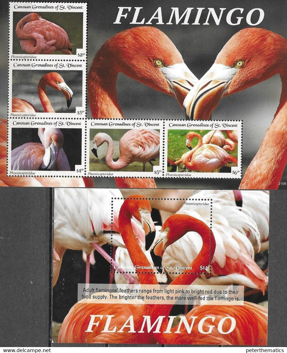 CANOUAN, GRENADINES OF ST. VINCENT,  2021, MNH, BIRDS, FLAMINGOS, SHEETLET+S/SHEET - Flamingos