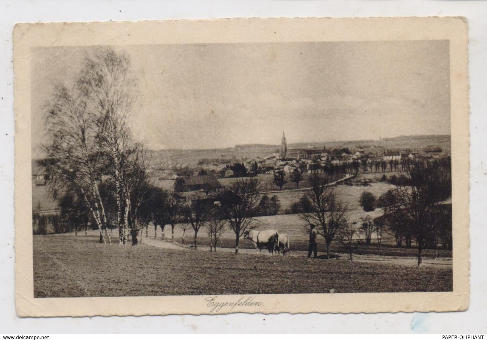 8330 EGGENFELDEN, Blick üder Den Ort, Ochsengespann Beim Pflügen, Verlag Uri - Eggenfelden