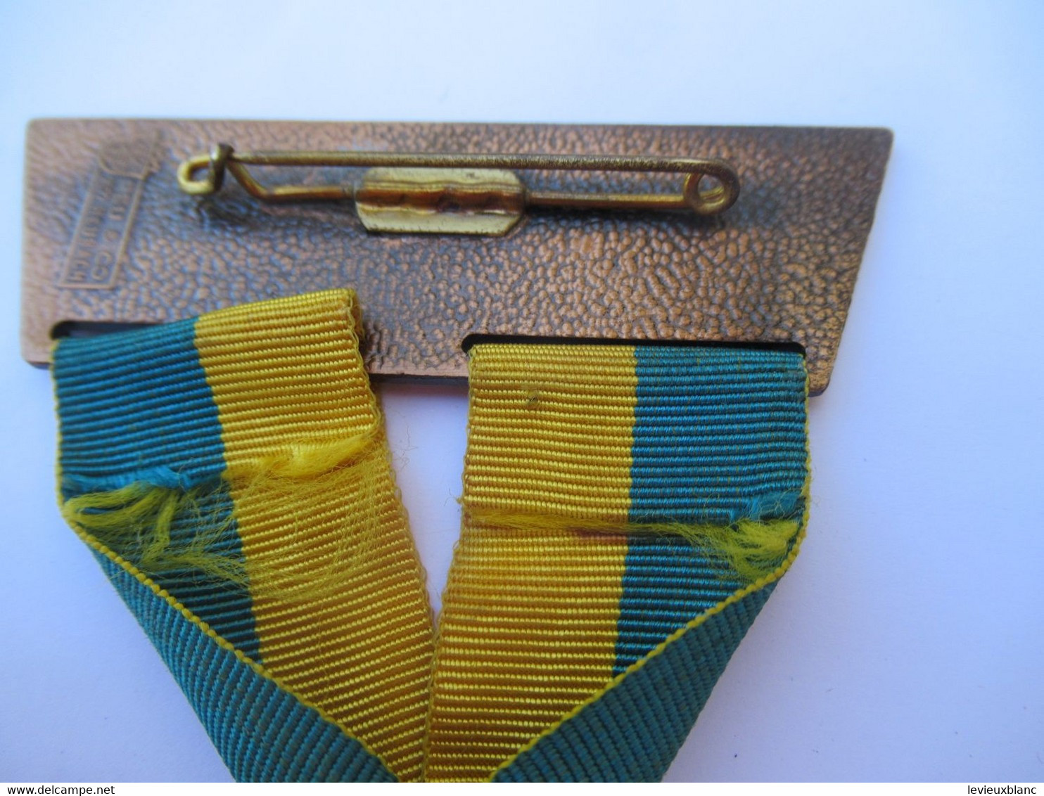 Médaille souvenir/SPORT/Journée de Randonnée/11éme International/Allemagne/ Anneaux Olympiques/ COUBERTIN/1979    SPO390