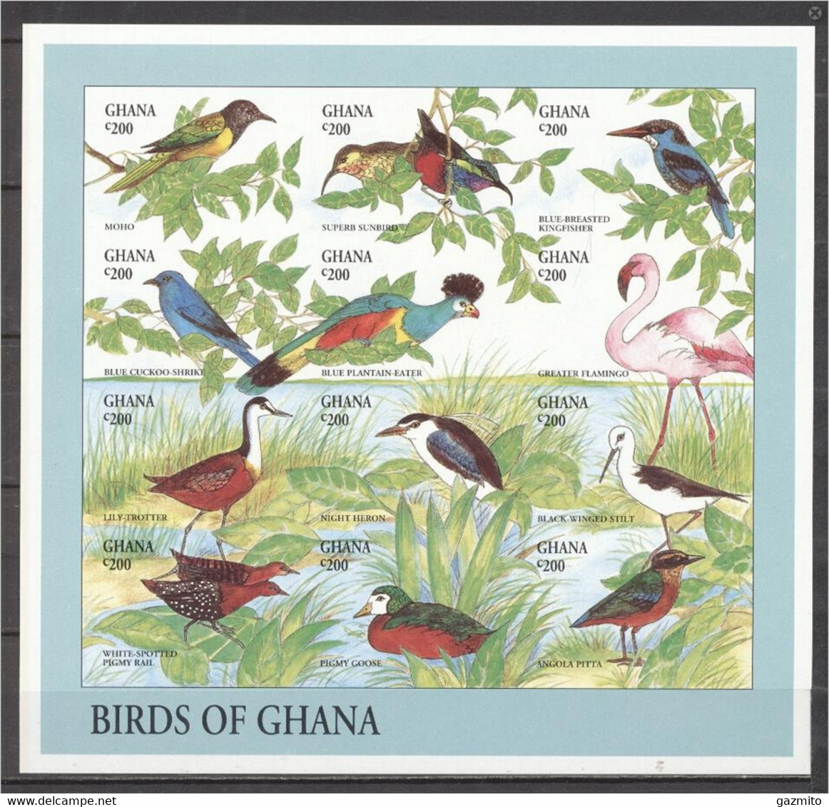 Ghana 1996, Birds 1, Kingfisher, Flamingo, 12val In BF IMPERFORATED - Flamingos