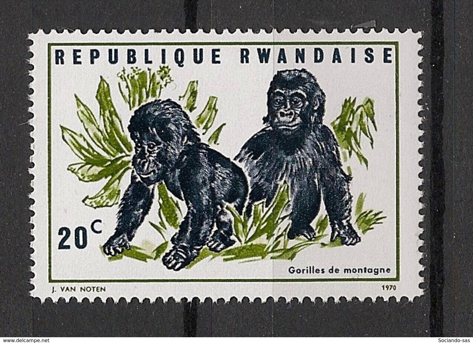 RWANDA - 1970 - N°Yv. 370 - Gorille / Gorilla - Neuf Luxe ** / MNH / Postfrisch - Gorilles