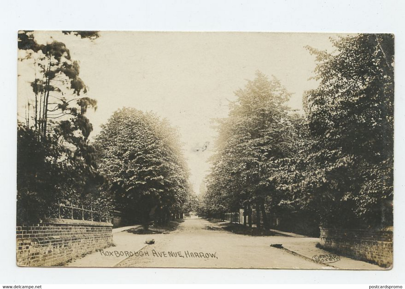 HARROW, Middlesex, Roxborough Avenue- REAL PHOTO Postcard 1908 Aprox.  ( 2 Scans ) - Middlesex