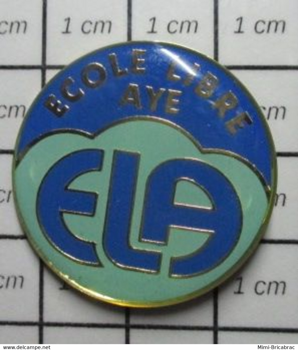 1522 Pin's Pins / Beau Et Rare / THEME : ADMINISTRATIONS / ECOLE LIBRE (de Quoi Donc ?) AYE De Marche-en-Famenne Située - Administrations