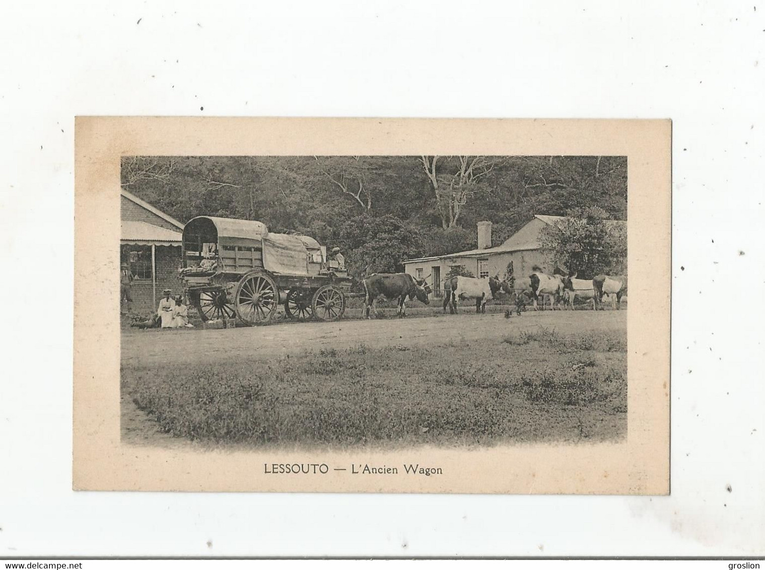 LESSOUTO (LESOTHO) L'ANCIEN WAGON (ATTELAGE DE ZEBUS) - Lesotho