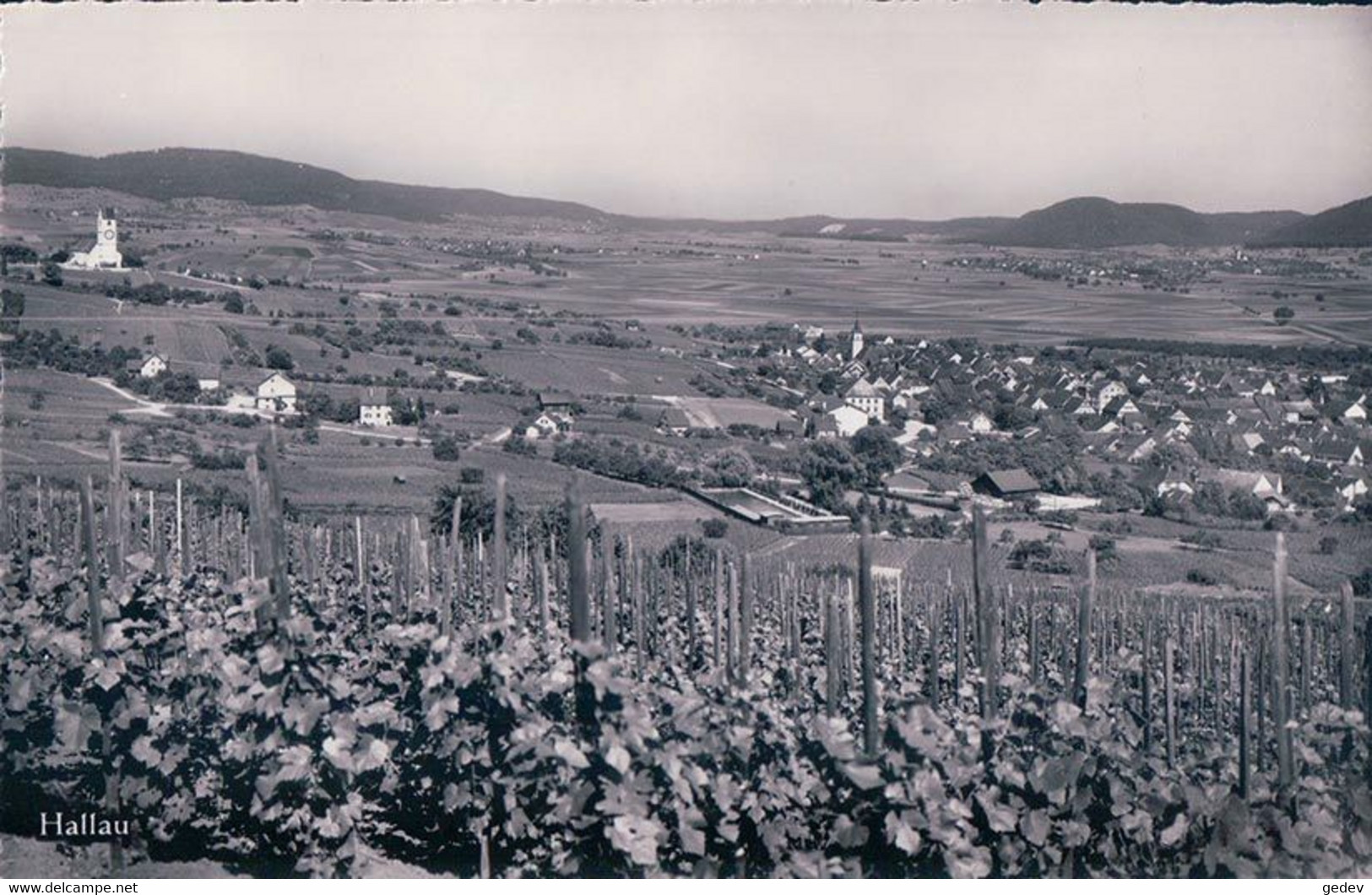 Hallau SH, Village Et Vignes (5166) - Hallau