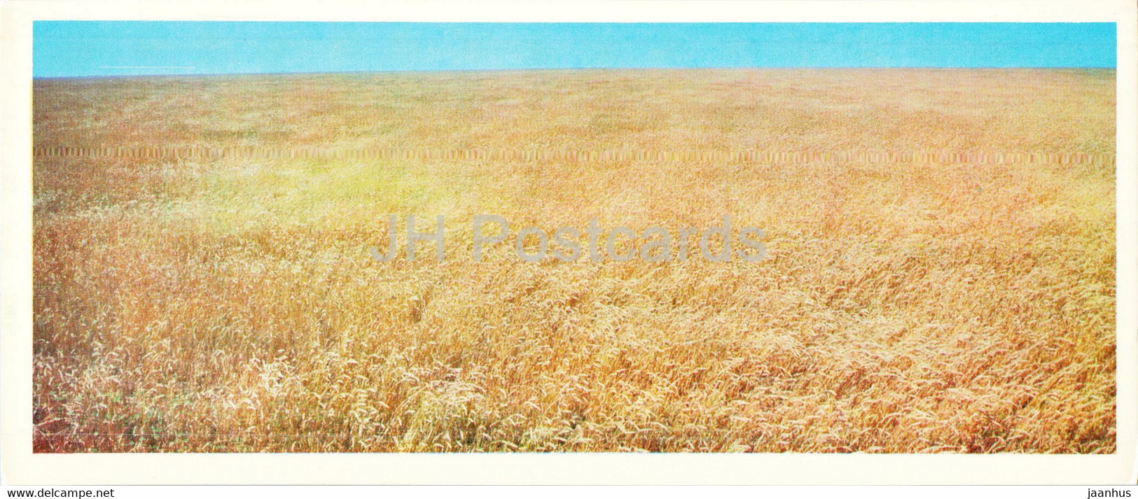 Field Of New Wheat Variety Pyrotrix 28 - 1976 - Kazakhstan USSR - Unused - Kazakhstan