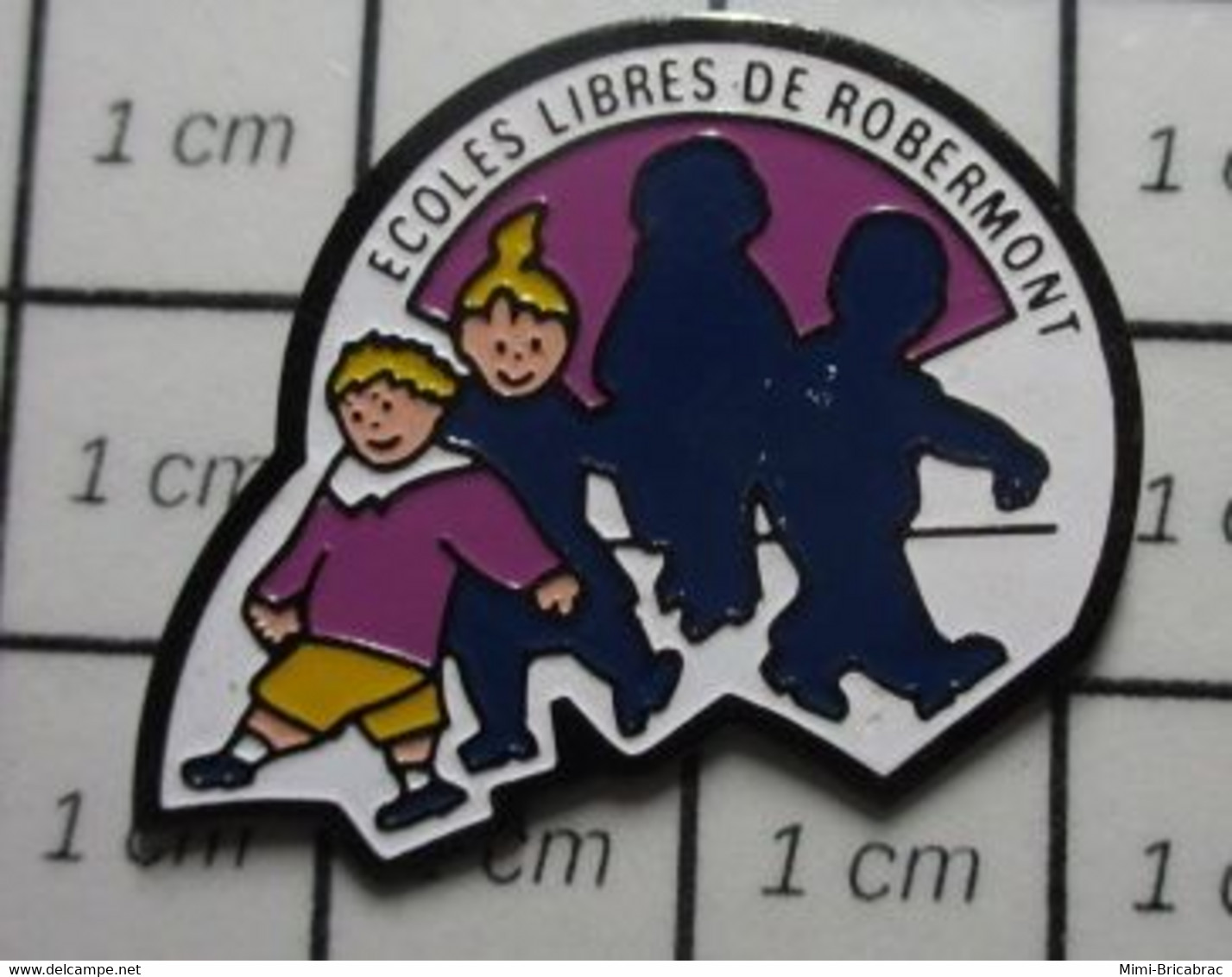 1922 Pin's Pins / Beau Et Rare / THEME : ADMINISTRATIONS / ECOLES LIBRES (de Quoi Donc ?) DE ROBERMONT LIEGE - Administrations