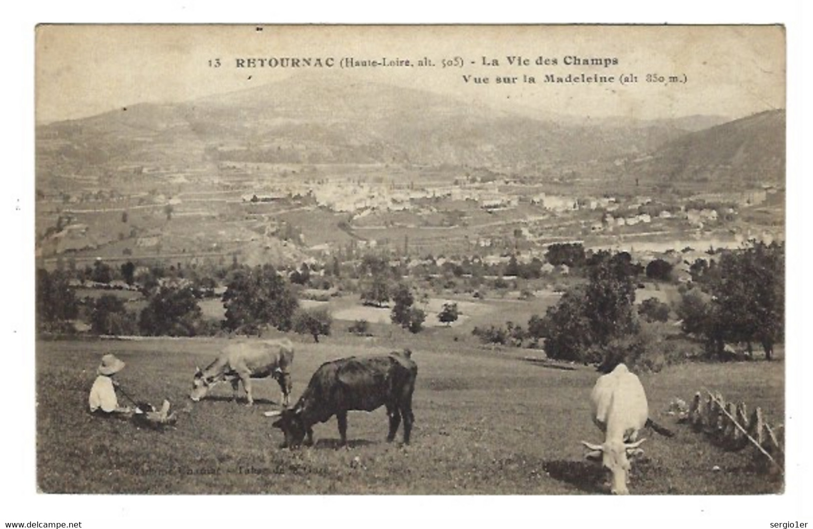 CPA  Haute  Loire  43   :  Retournac  La Vie Des Champs  Vue Sur La Madeleine  Alt 850m " Vaches, Paysans" - Retournac