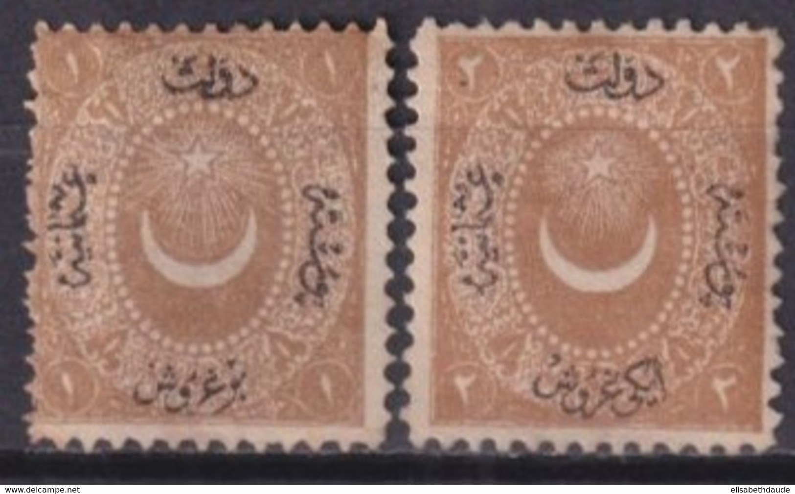 TURQUIE - 1867 - TAXE YVERT N°11/12 (*) NEUFS SANS GOMME - COTE = 65 EUR - Unused Stamps
