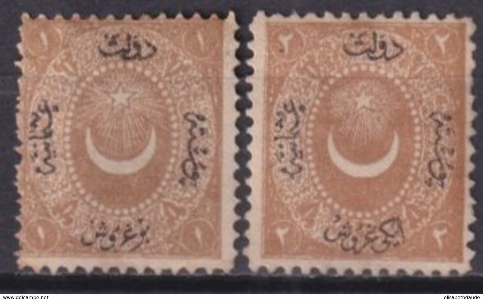 TURQUIE - 1867 - TAXE YVERT N°11/12 (*) NEUFS SANS GOMME - COTE = 65 EUR - Nuovi