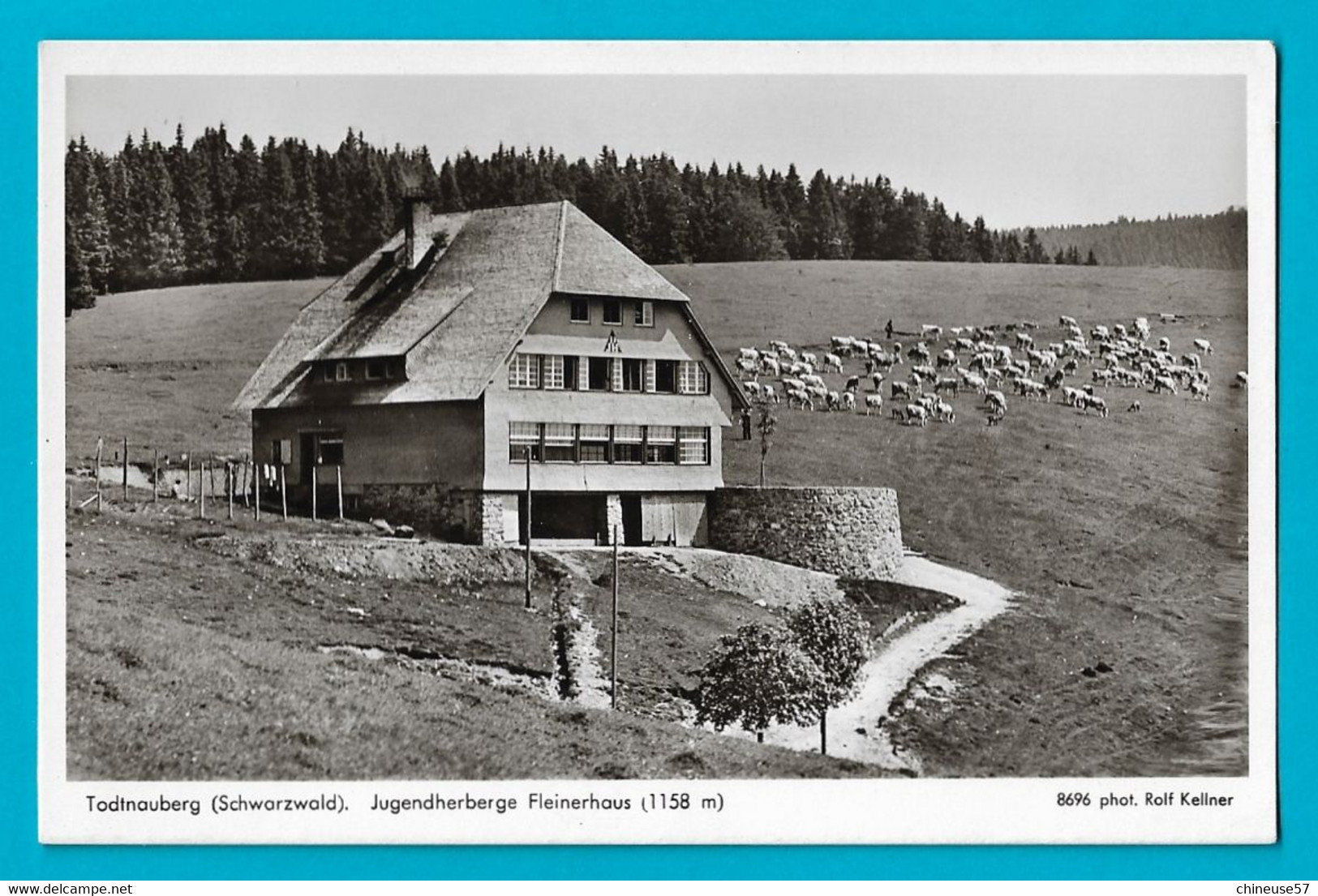 Todtnau - Todtnauberg Jugendherberge Fleinerhaus - Todtnau