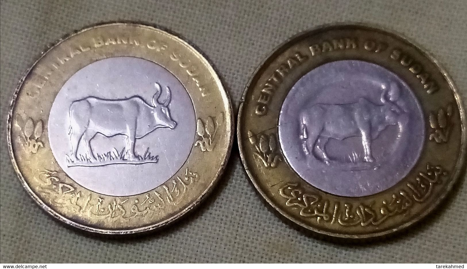 Sudan 2006 , 2 Types Of 20 Piastres / (non-magnetic And Magnetic With Straight 6)  KM 124 , GomaA - Sudan