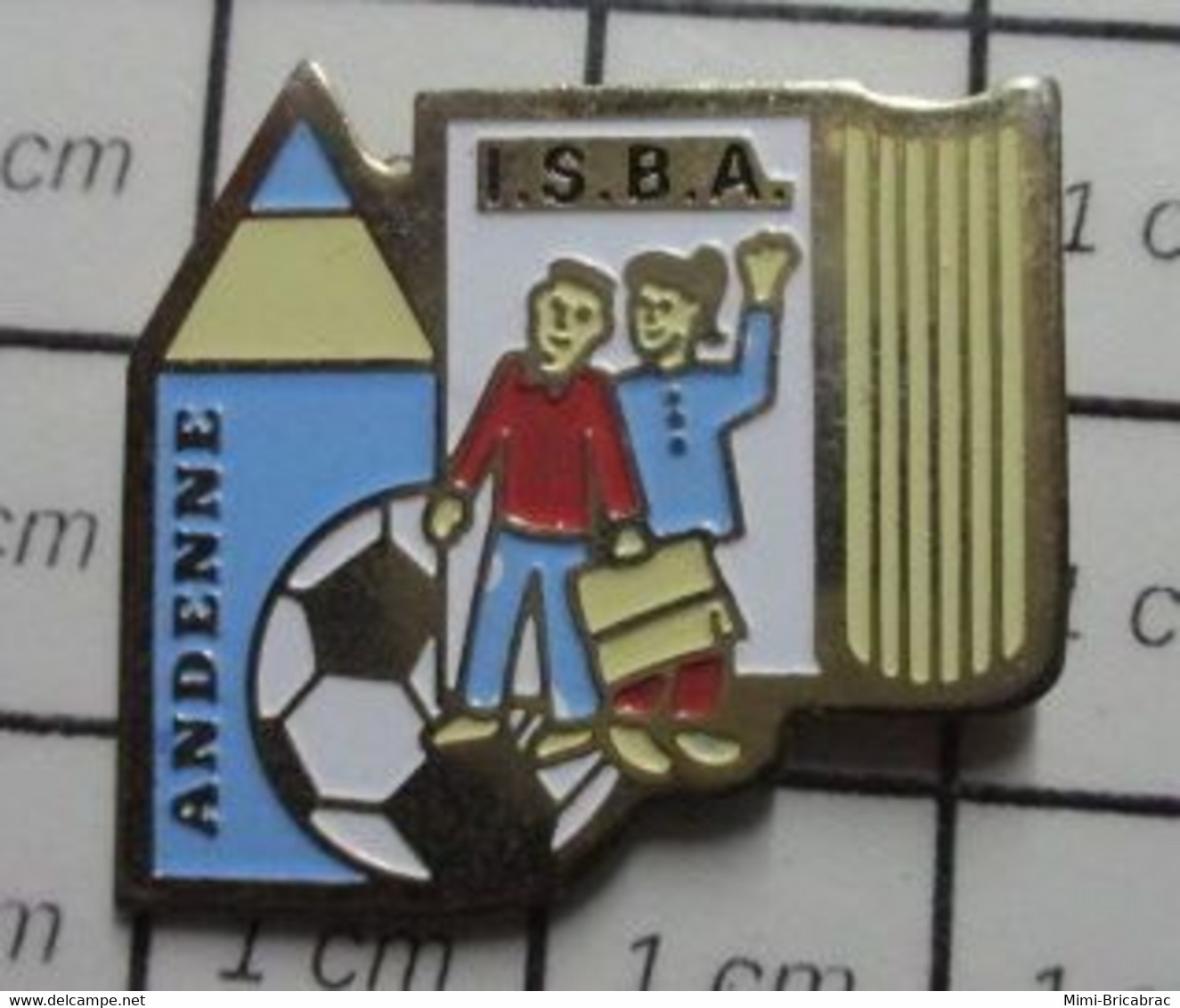 1622 Pin's Pins / Beau Et Rare / THEME : ADMINISTRATIONS / ISBA Institut Sainte-Begge Andenne Région Wallonne Dans La Pr - Administrations