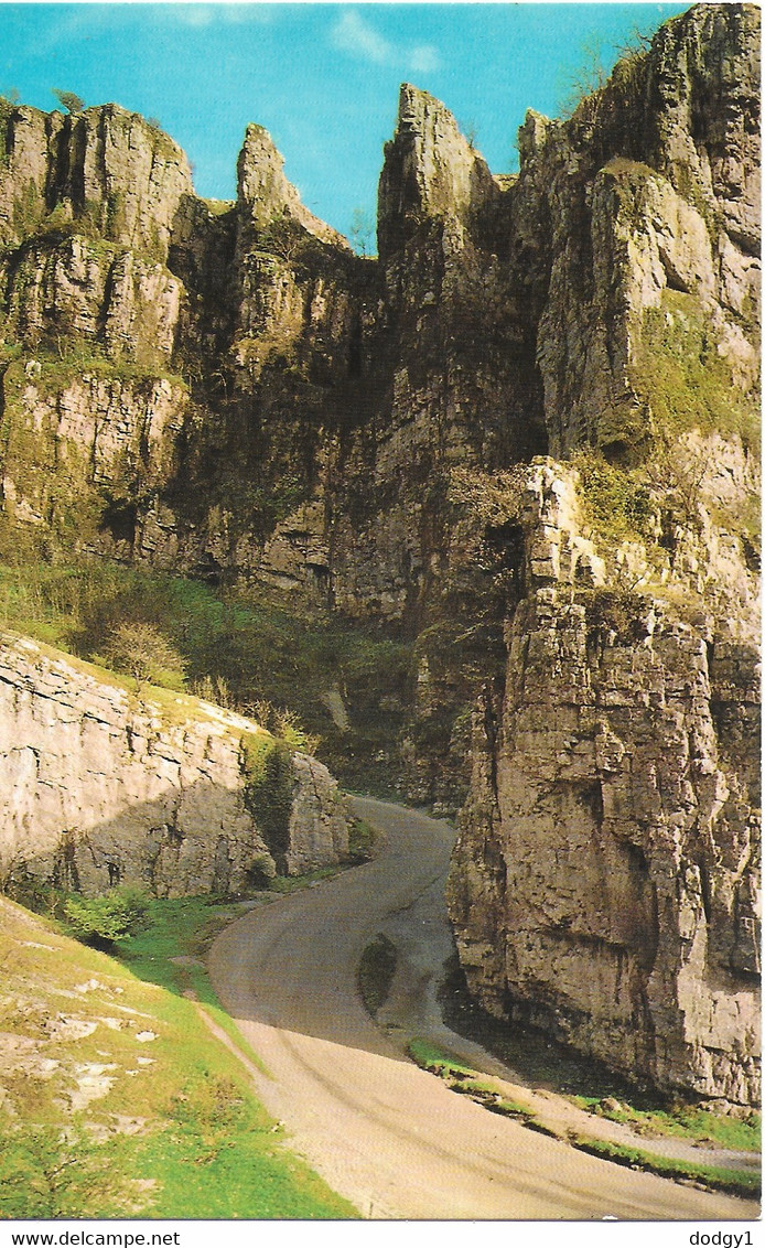 THE GORGE, CHEDDAR, SOMERSET, ENGLAND. UNUSED POSTCARD   Tw3 - Cheddar