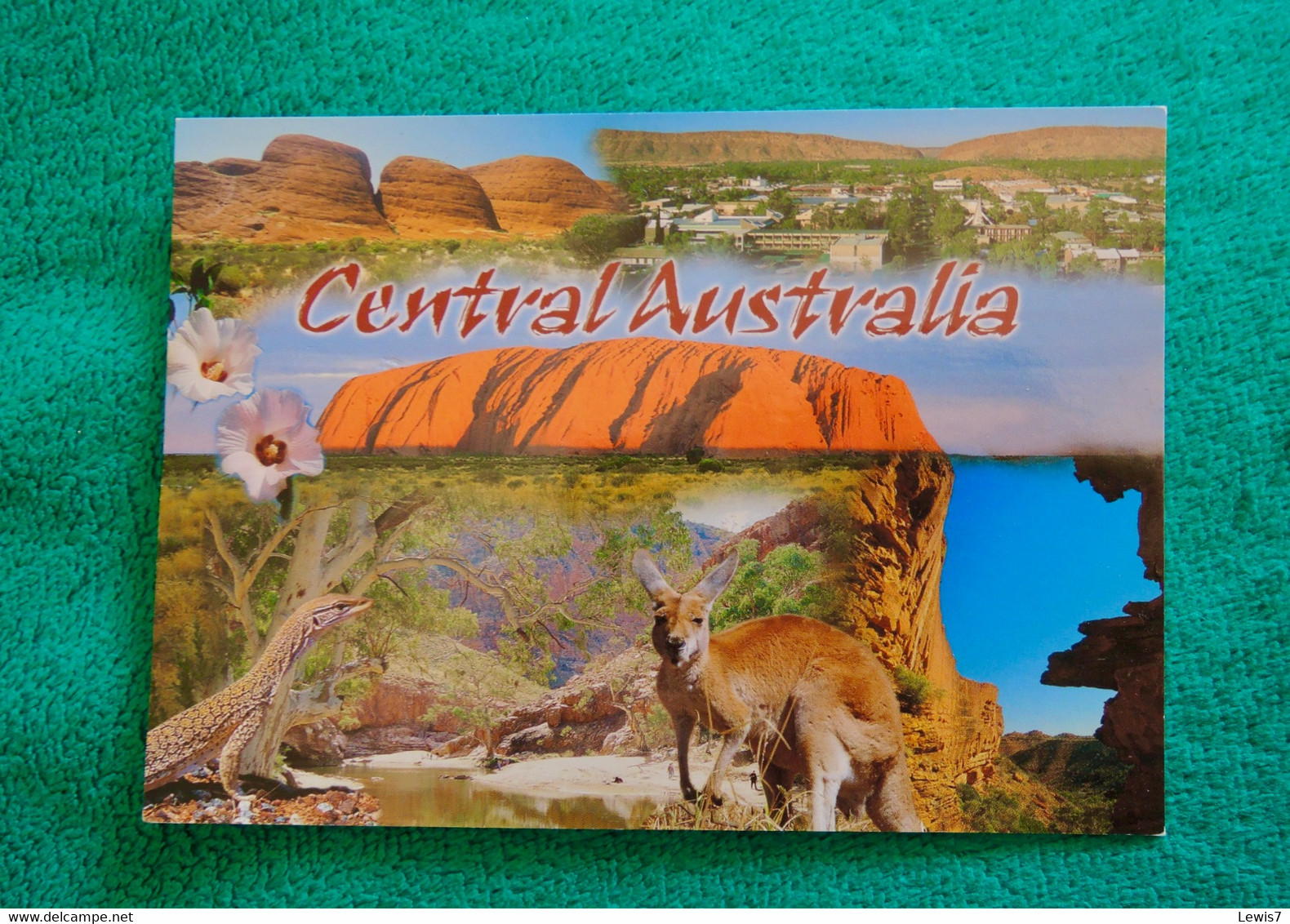 Central Australia - ULURU - Kangaroo - Uluru & The Olgas