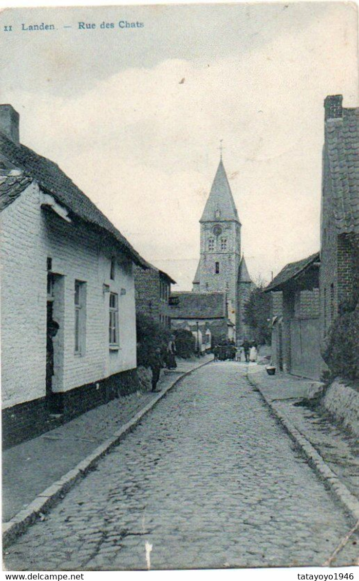 Landen  Rue Des Chats Animée Voyagé En 1910 - Landen