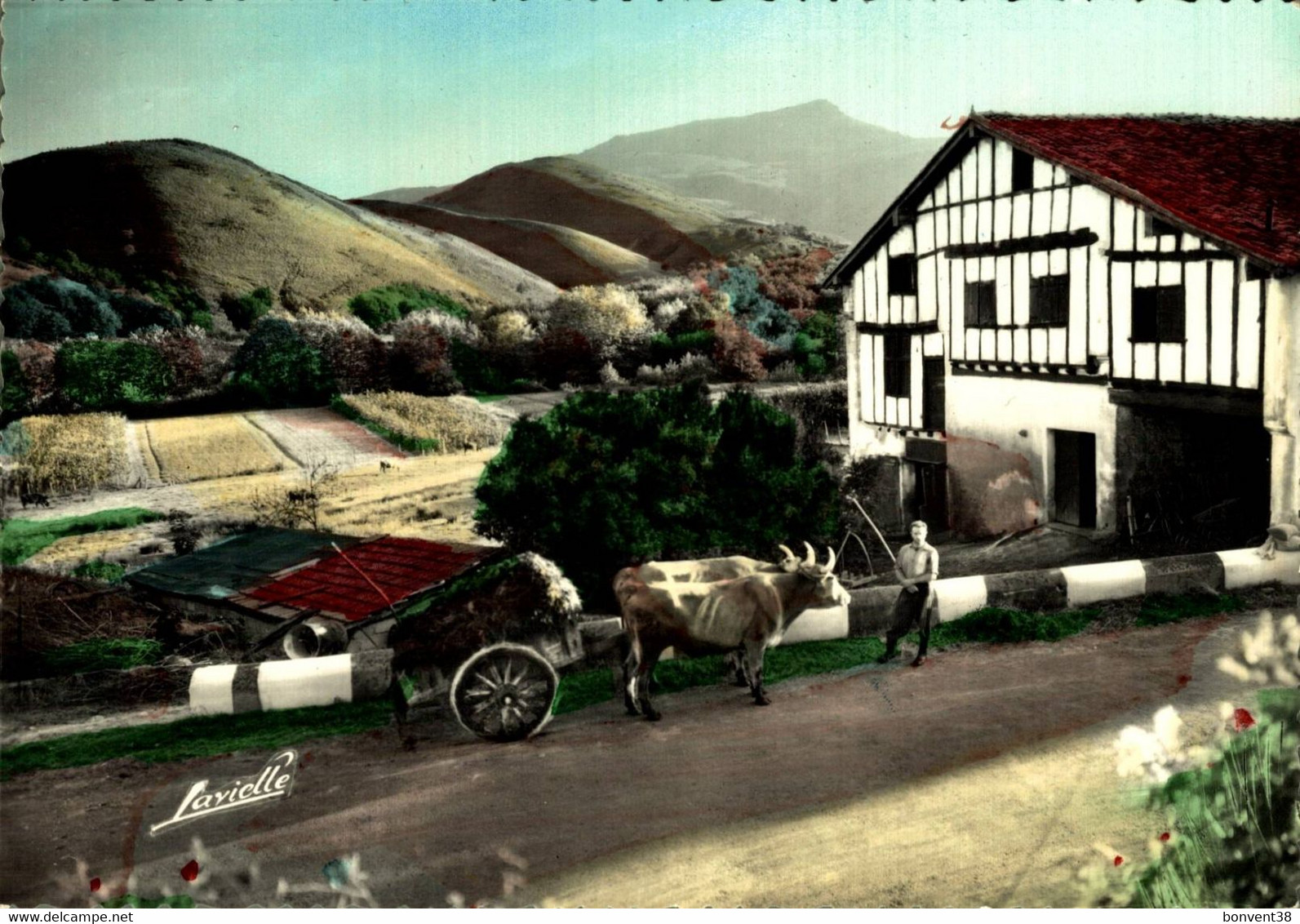 I1607 - Une Ferme En Pays Basque - Attelages Bœuf - Attelages