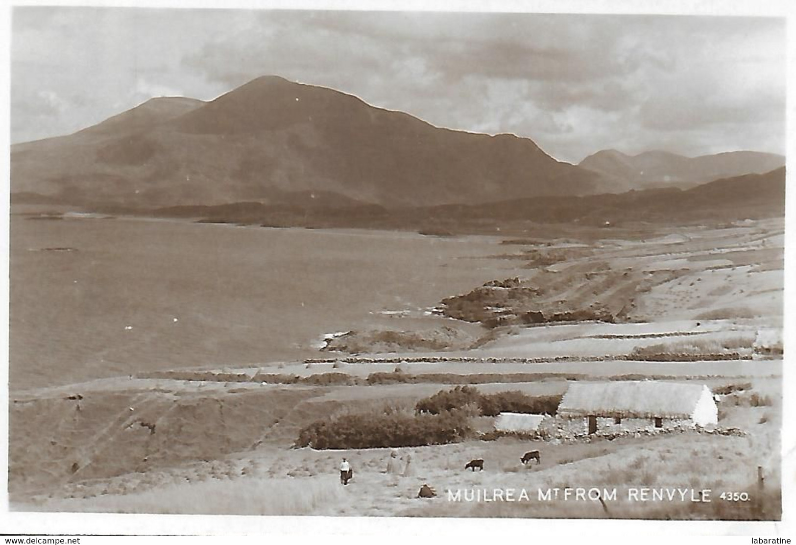 Irlande )   MUILREA  - Mt. FROM RENVYLE - Galway