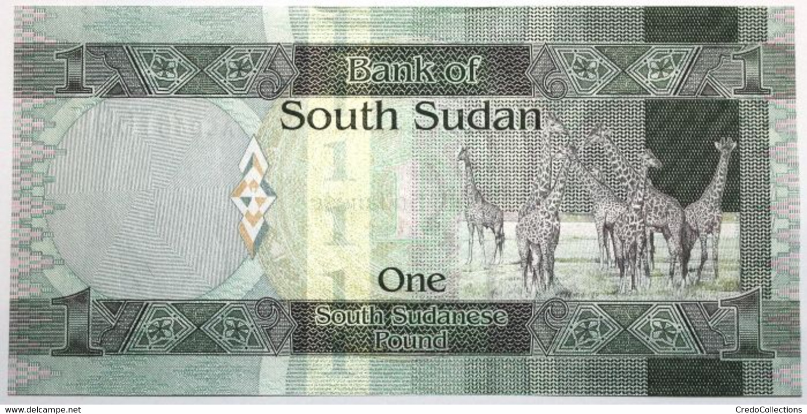 Soudan Du Sud - 1 Pound - 2011 - PICK 5 - NEUF - Südsudan