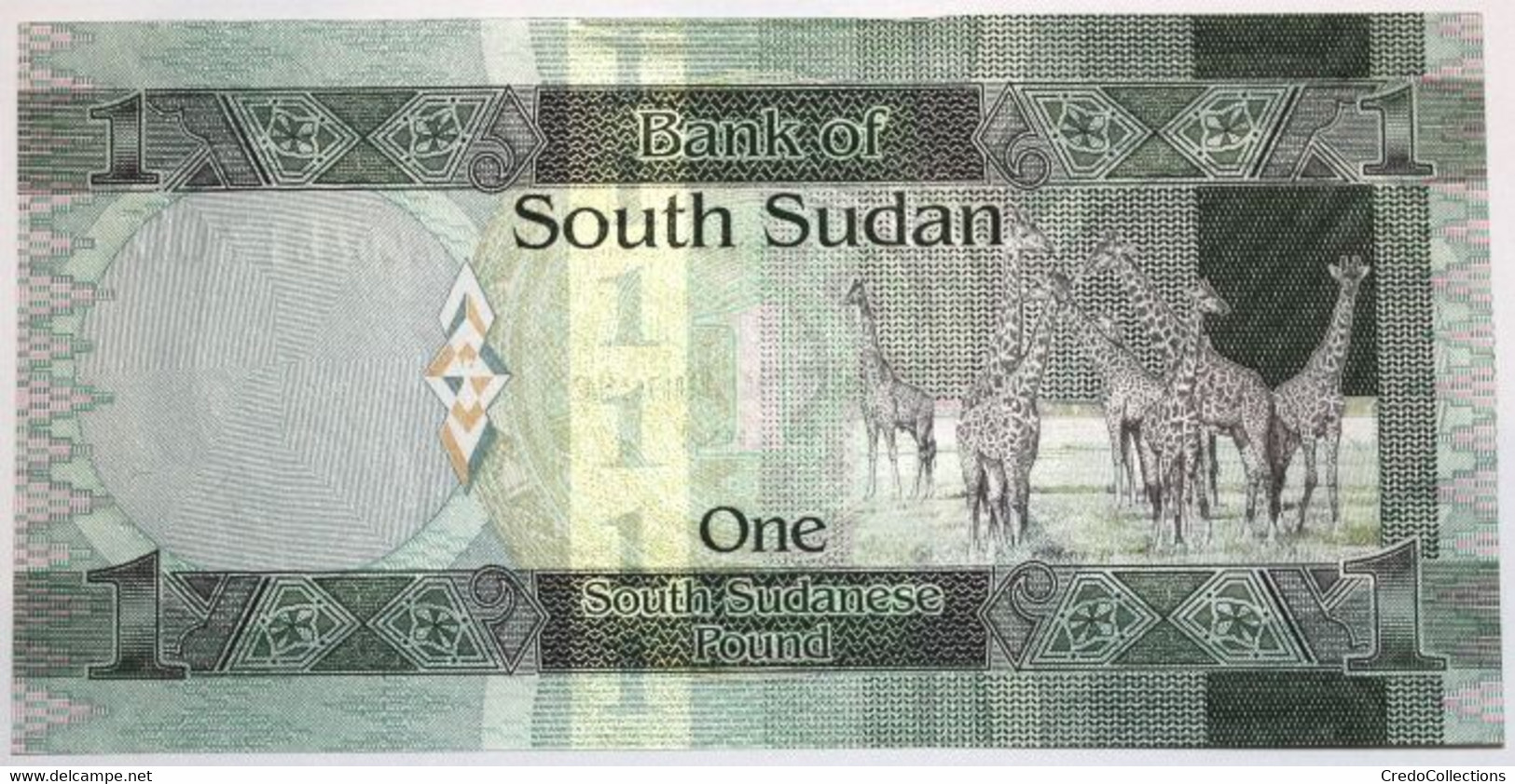 Soudan Du Sud - 1 Pound - 2011 - PICK 5 - NEUF - Zuid-Soedan