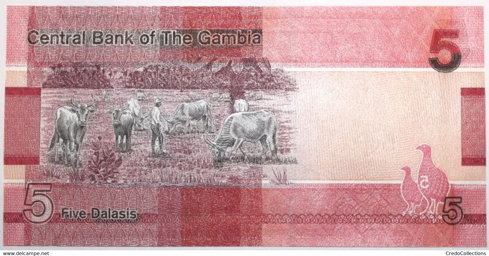 Gambie - 5 Dalasis - 2019 - PICK 37a - NEUF - Gambia