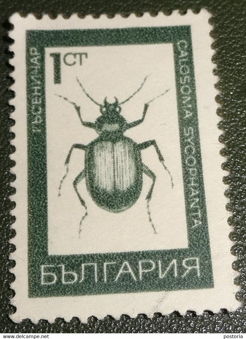 Bulgarije - 1968 - Gebruikt - Michel 1826 - Insect - Calosoma Sycophanta (grote Rupsenjager) - Gebraucht
