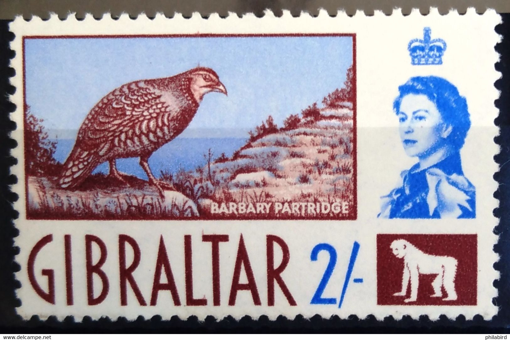 OISEAUX - GIBRALTAR                 N° 155                        NEUF** - Rebhühner & Wachteln